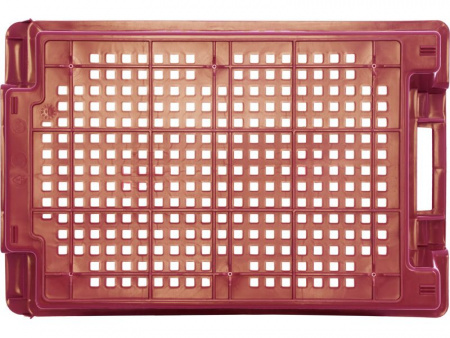 u5NpV6R8n6.jpeg u5NpV6R8n6.jpeg