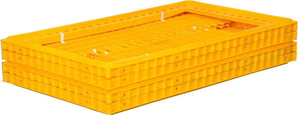 P5hoqbpqLh.jpeg P5hoqbpqLh.jpeg