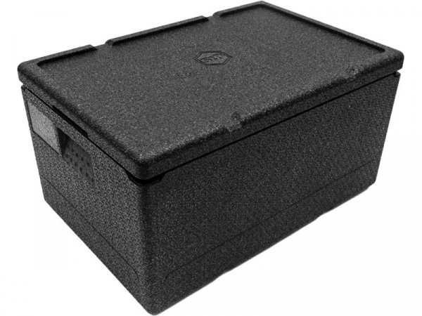 Термоконтейнер 600х400х320 46 л из ударопрочного вспененного полипропилена плотность 55 кг/м3