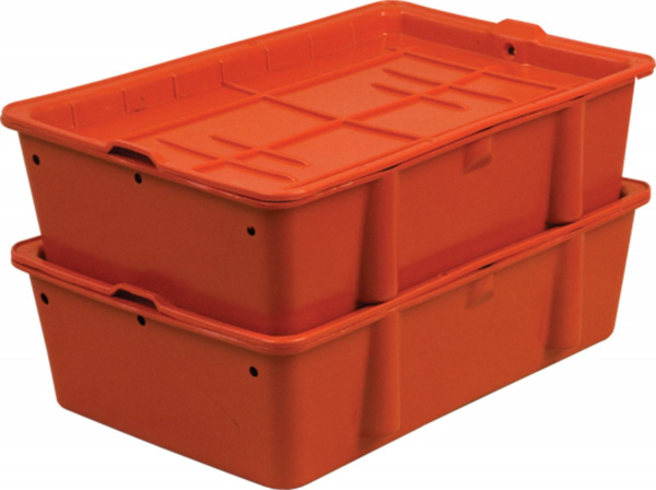 Wl9D8fx85P.jpeg Wl9D8fx85P.jpeg